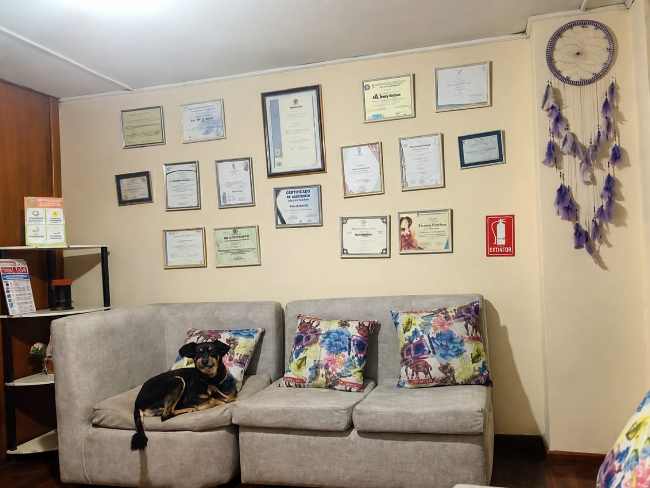 Marcador de posición — pendiente foto real de la recepción